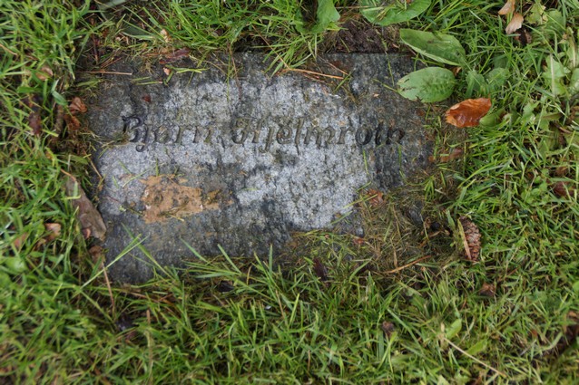 Billede af gravsten på Haslev Kirkegård